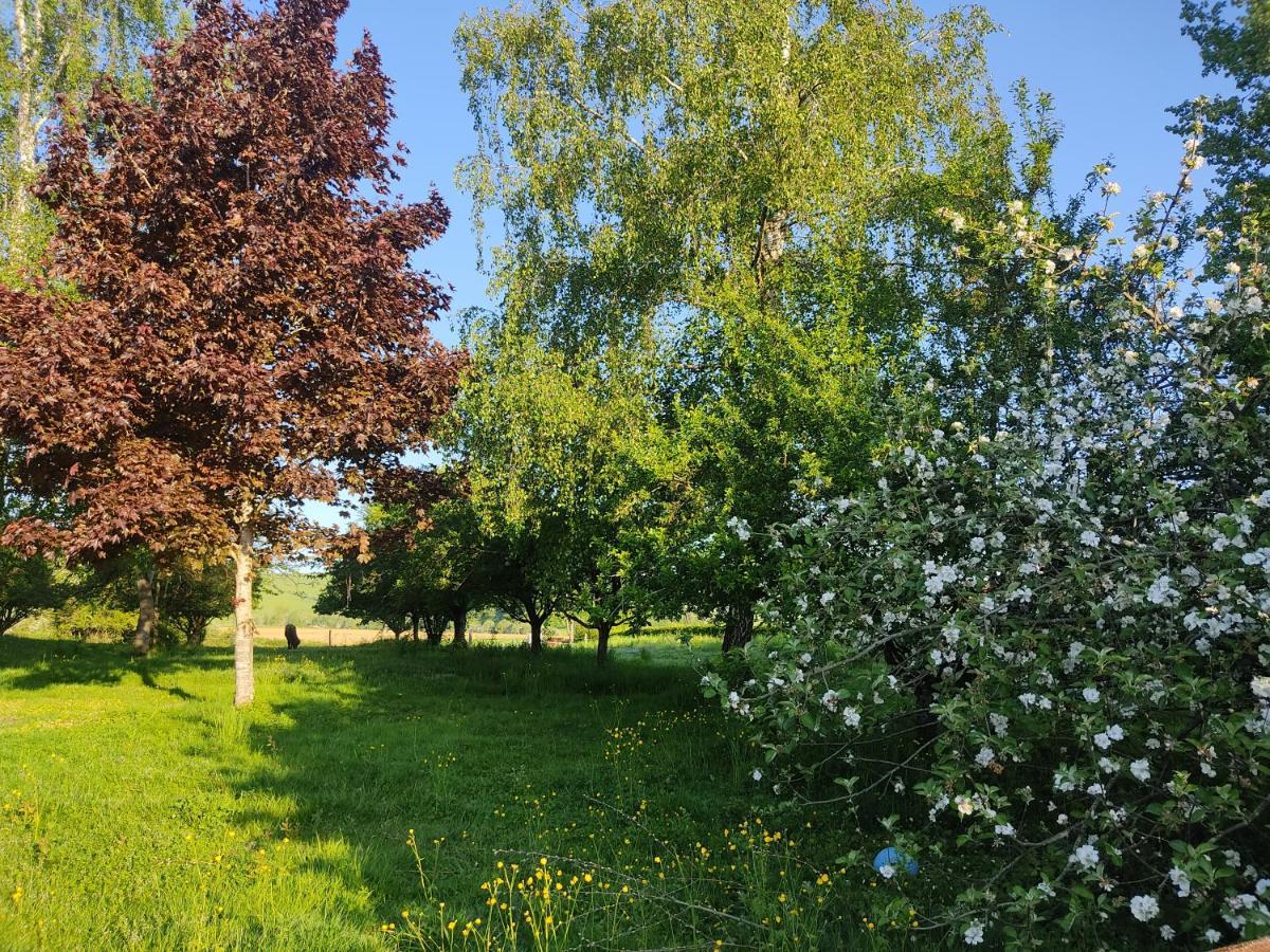 Gite De Solama Avec Spa Balleville Екстериор снимка